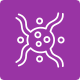 Lymphoma